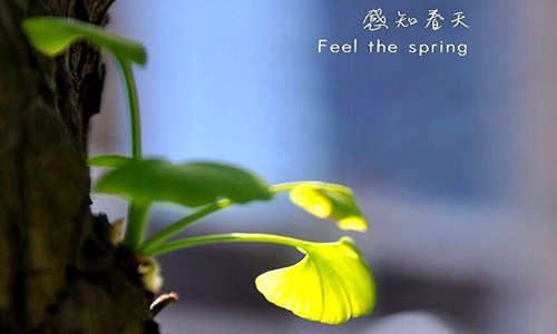 1646284733272850.jpg 1488597843832892.jpg