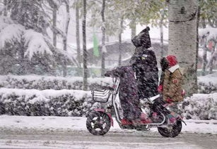 1646285271921194.jpg 1544577536527510.jpg