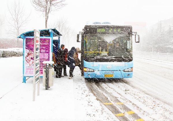 1646285280638339.jpg 1544577565163337.jpg