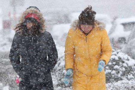 1646285285148851.jpg 1544577583831120.jpg