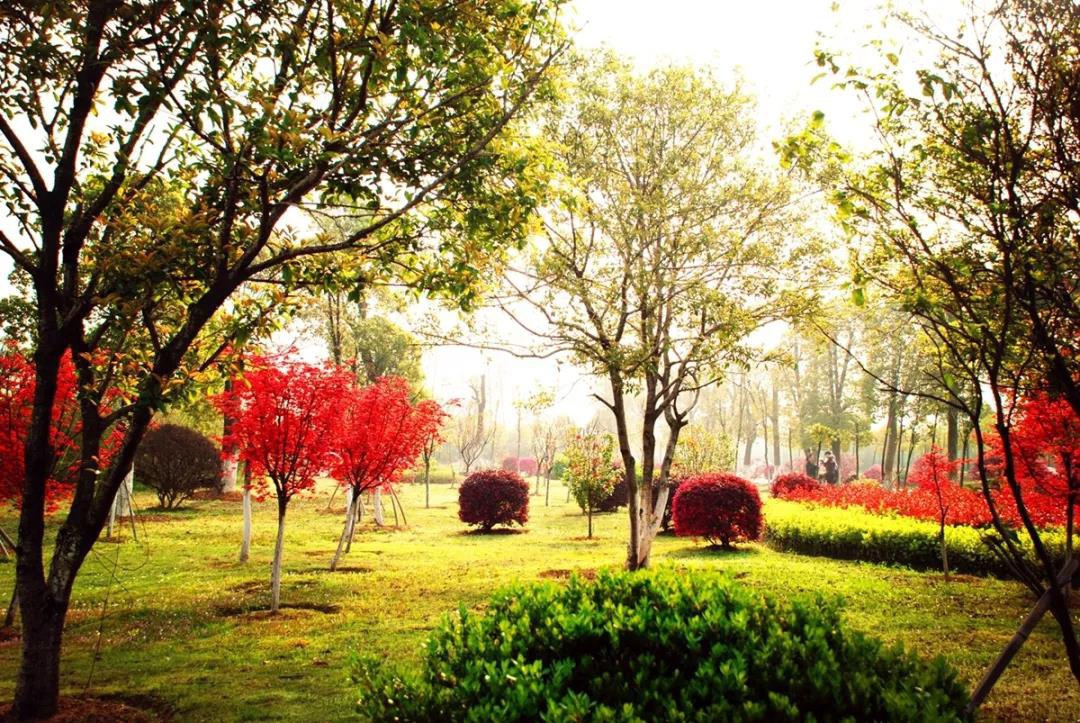 1646285425426012.jpg 1539479523508339.jpg