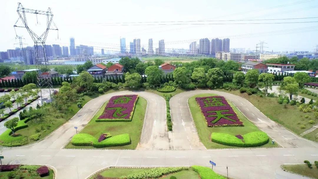 1646285440577607.jpg 1539479577874639.jpg